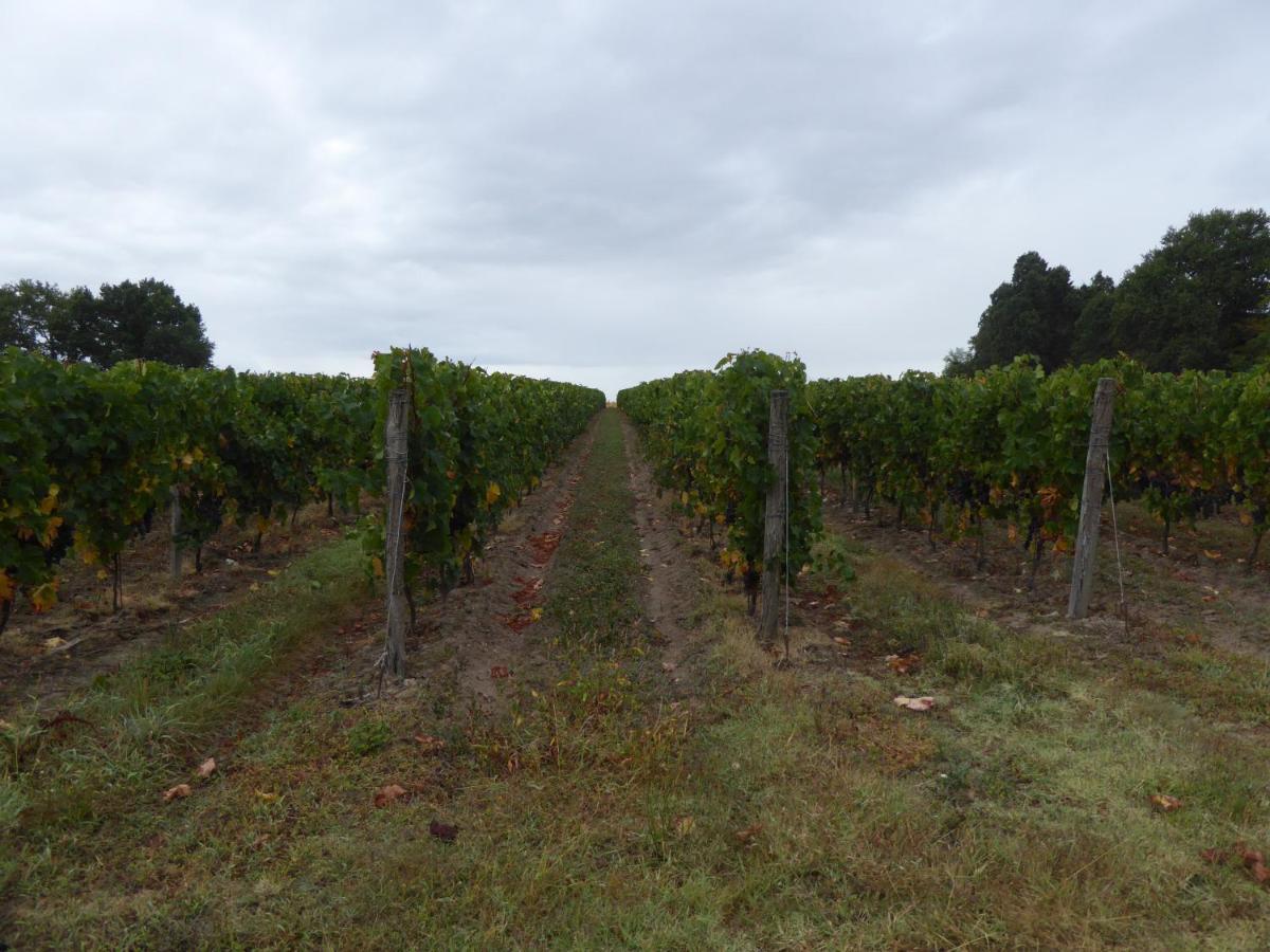 Chateau Des Salles Saint-Fort-sur-Gironde Buitenkant foto