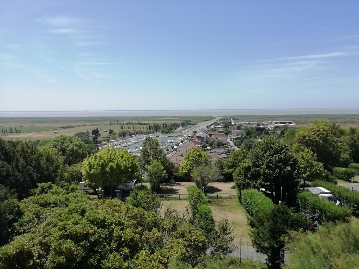 Chateau Des Salles Saint-Fort-sur-Gironde Buitenkant foto