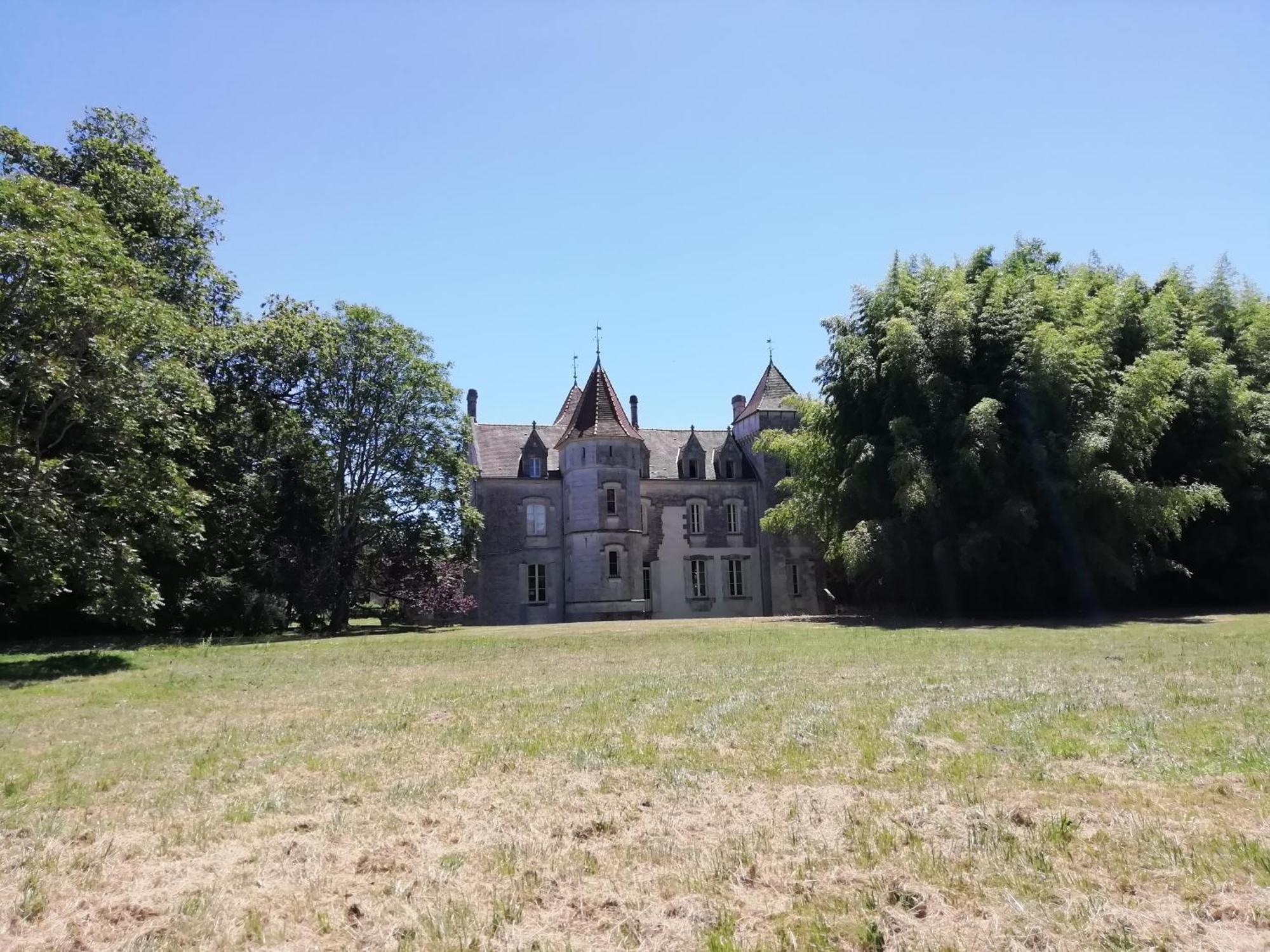 Chateau Des Salles Saint-Fort-sur-Gironde Buitenkant foto