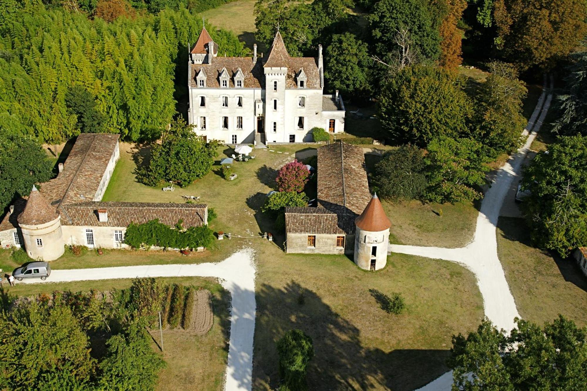 Chateau Des Salles Saint-Fort-sur-Gironde Buitenkant foto