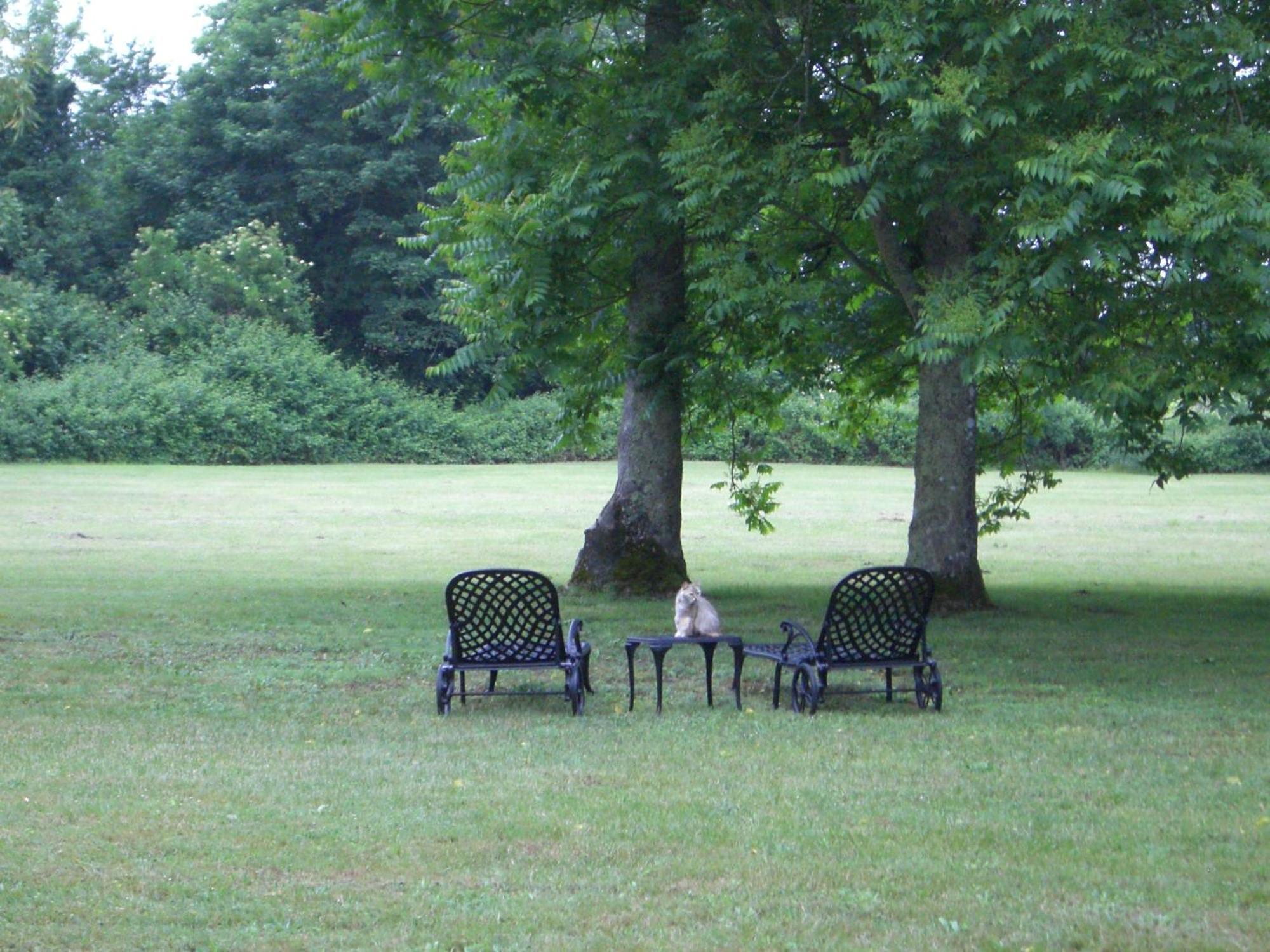 Chateau Des Salles Saint-Fort-sur-Gironde Buitenkant foto
